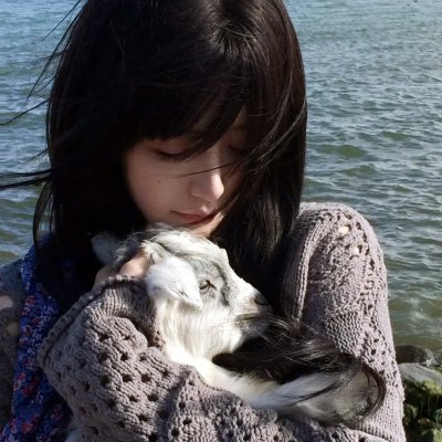 神犬小七第二季